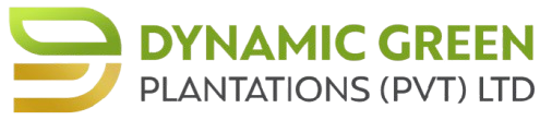 Dynamic Green Plantations